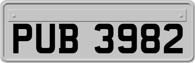 PUB3982