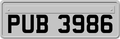 PUB3986