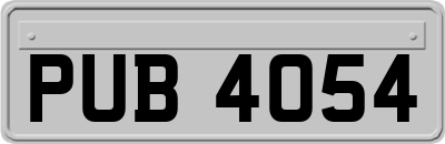 PUB4054
