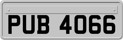 PUB4066