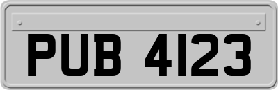 PUB4123