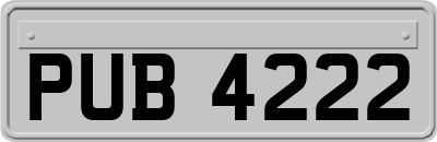 PUB4222