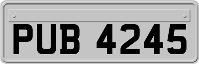 PUB4245