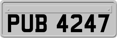 PUB4247