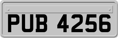 PUB4256