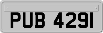 PUB4291