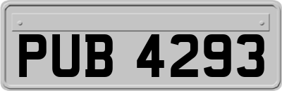 PUB4293