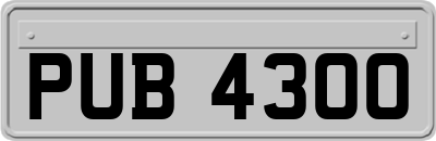 PUB4300