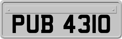PUB4310