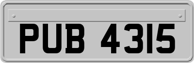 PUB4315
