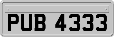 PUB4333