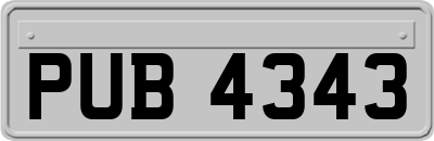 PUB4343