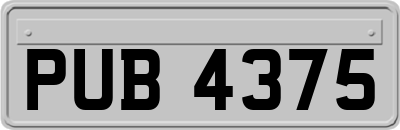 PUB4375
