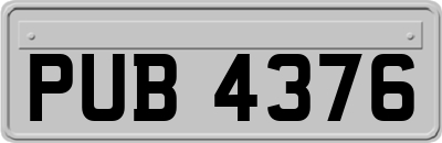 PUB4376