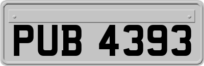 PUB4393