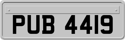 PUB4419