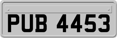 PUB4453