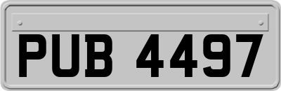 PUB4497