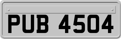 PUB4504