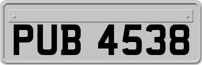 PUB4538