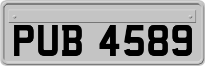 PUB4589