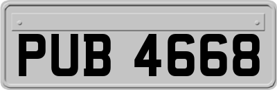 PUB4668