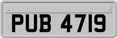 PUB4719