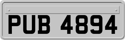 PUB4894