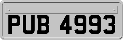 PUB4993