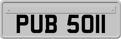 PUB5011