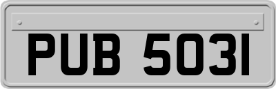 PUB5031