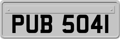 PUB5041