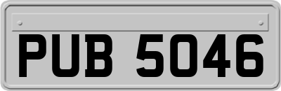 PUB5046
