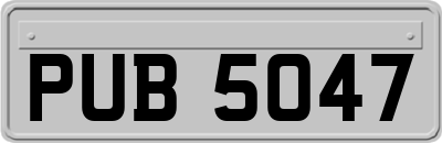 PUB5047