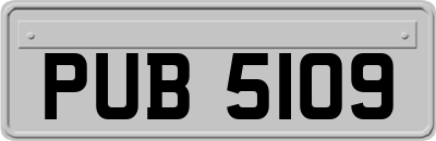 PUB5109