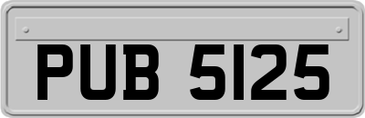 PUB5125