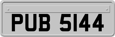 PUB5144