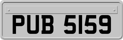 PUB5159