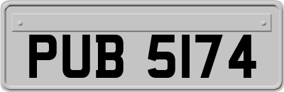 PUB5174