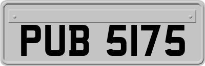 PUB5175