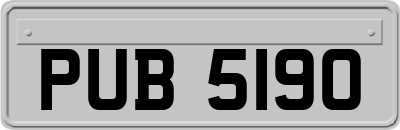 PUB5190