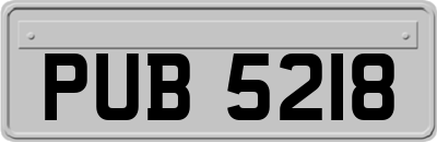 PUB5218