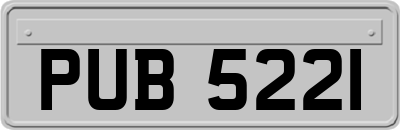 PUB5221