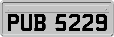 PUB5229