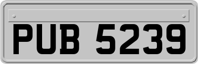 PUB5239
