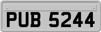 PUB5244