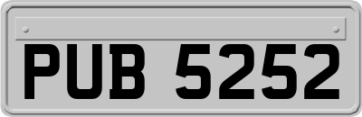 PUB5252