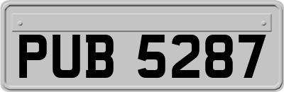 PUB5287