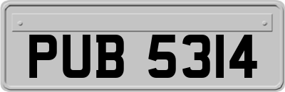 PUB5314