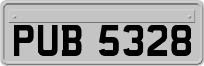 PUB5328